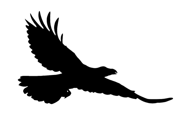 Raven cliparts 