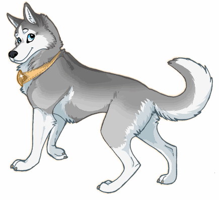 Gray and white husky with blue eyes wearing a tan collar, standing alert in profile view.