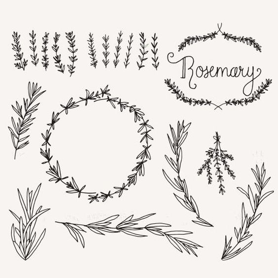 Free Rosemary Cliparts, Download Free Rosemary Cliparts png images ...