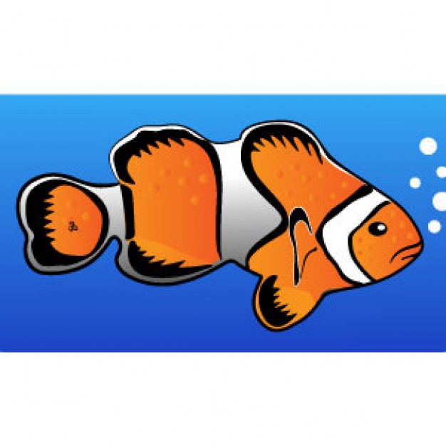 Vibrant orange and white clownfish swimming left in blue water with bubbles.