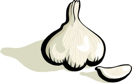 Garlic Clip Art, Vector Garlic 