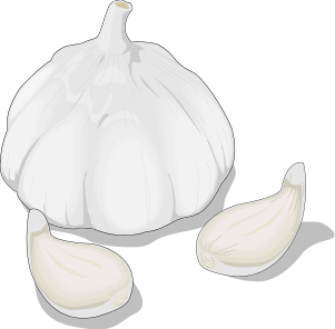 Free Garlic Clipart, 1 page of Public Domain Clip Art 