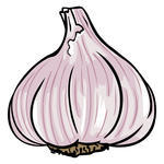 Free Garlic Cliparts, Download Free Garlic Cliparts png images, Free ...