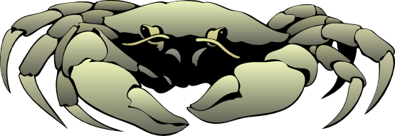 Realistic Crab Clipart