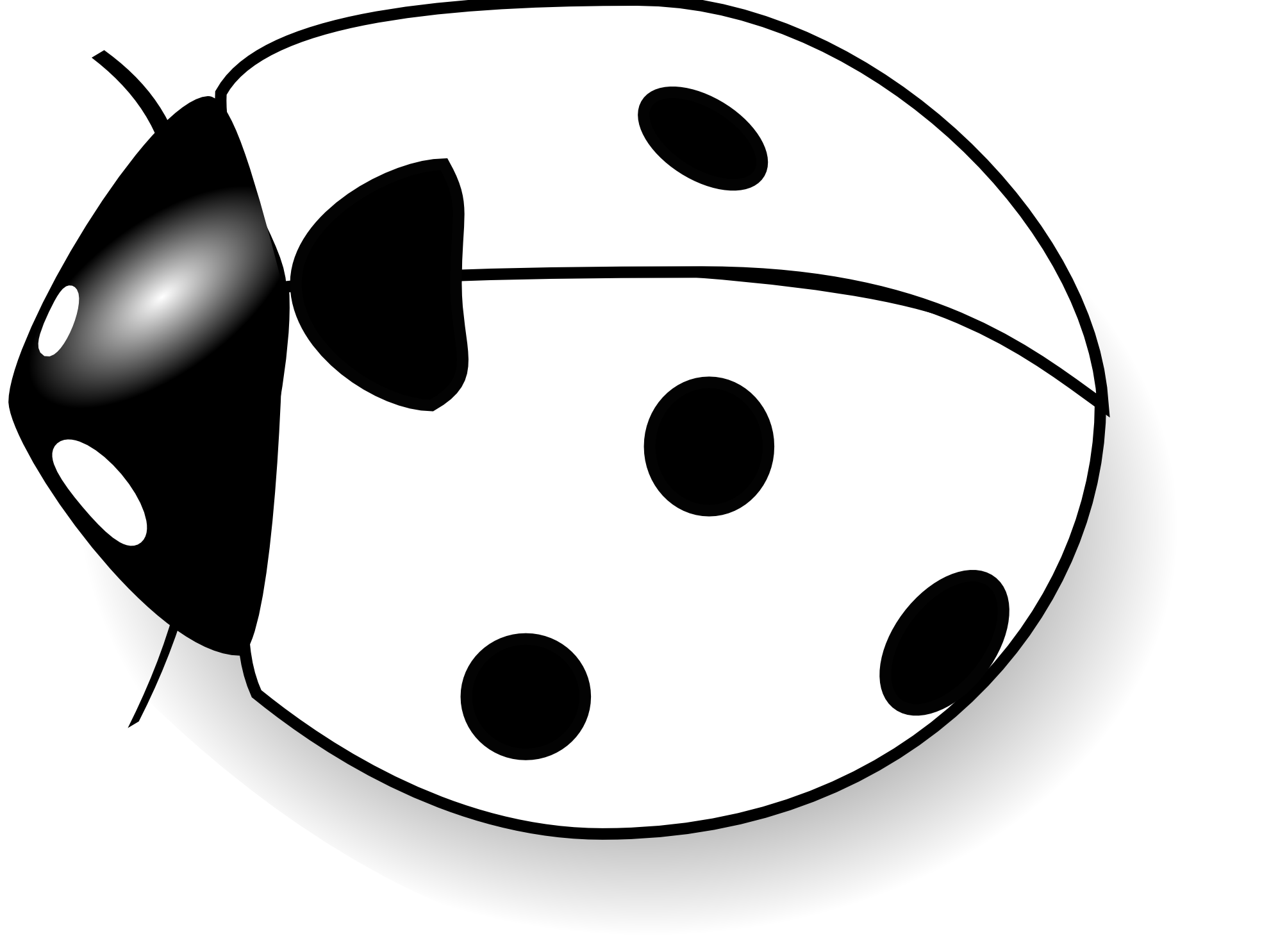 Black-and-white stylized ladybug with glossy head, white spots on black, and black spots on white elytra.