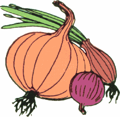 Arthur&Free Color Vegetable Clip Art 