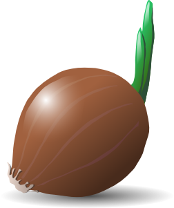 A realistic illustration of a brown onion with green sprouts emerging from the top, casting a soft shadow.