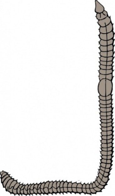 Earthworm Clipart 