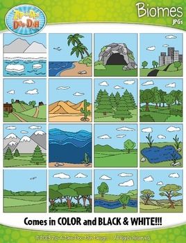 Twelve illustrated biome scenes including desert, forest, ocean, tundra, grassland, wetland, and urban environments.