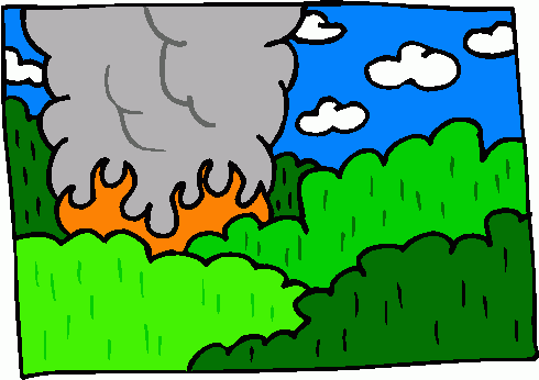Forest Fire Clipart