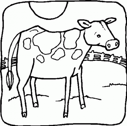 Cow Image For Kids 