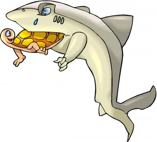 A cartoon shark with a teardrop eye gently holds a smiling turtle in its mouth, both appearing friendly and non-threatening.