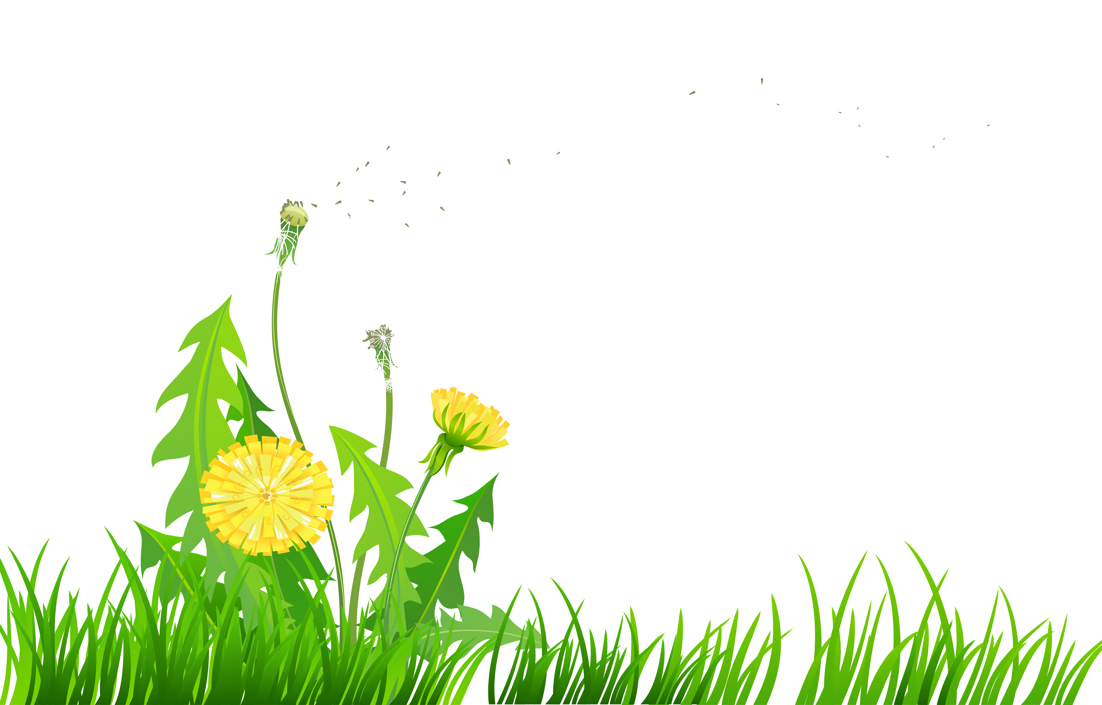 Grass with Dandelions PNG Clipart 