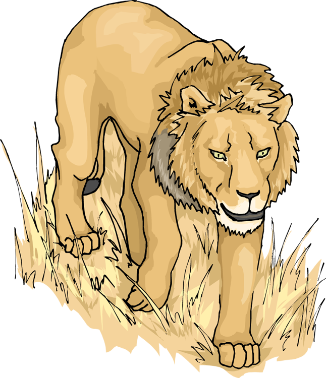 Majestic Male Lion in Savanna Grass - Wildlife Illustration