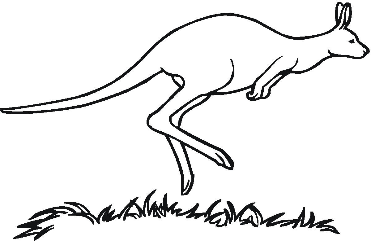 Black-and-white line drawing of a kangaroo mid-leap over grassy terrain.