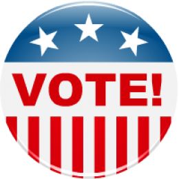 Vote Button - American Election Campaign Graphic