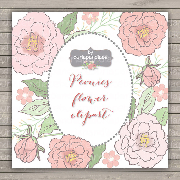 Peonies Wedding clipart flower ~ Illustrations on Creative Market