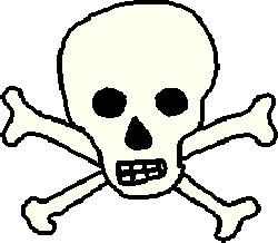 Pirates Skull and Crossbones Factsheet,Info on Pirate Skulls Jolly