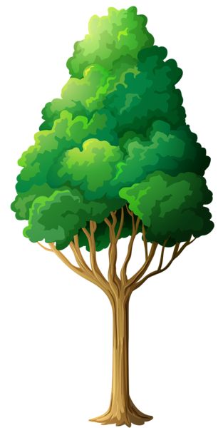 Green Tree PNG Clipart 