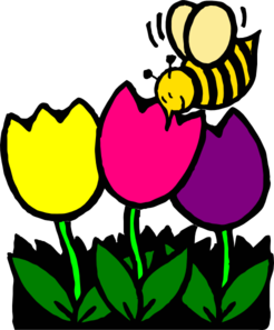 Picture Of Bees