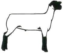 sheep wallpaper, clipart, screensavers of club lambs, wethers, ewe 