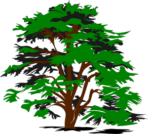 Simple Tree Clip Art