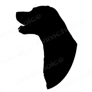 Labrador Retriever Silhouette 