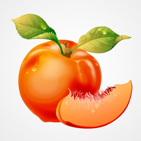 Free peaches clipart free clipart graphics image and photos image 