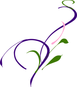Abstract floral vine design with purple, pink, and green swirls on black background.