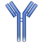 Free Antigen Cliparts, Download Free Antigen Cliparts png images, Free ...