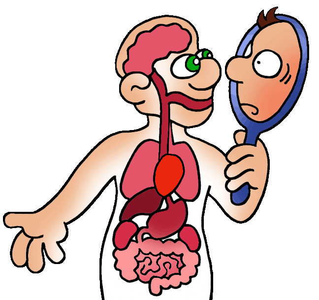 Cartoon man with transparent torso showing organs, holding a mirror with surprised expression.