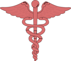 Red caduceus symbol with two snakes entwined around a winged staff, representing medicine and healthcare.