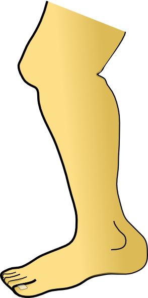 Illustration of a human lower leg and foot in side profile, showing anatomical structure with simple shading.
