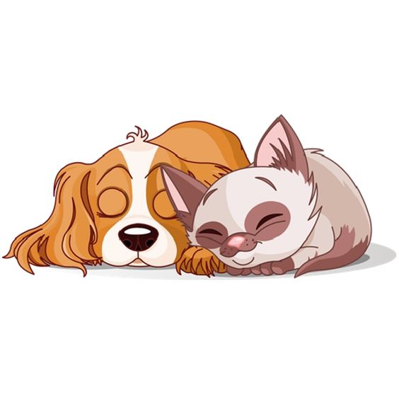 dog &amp, cat clipart 