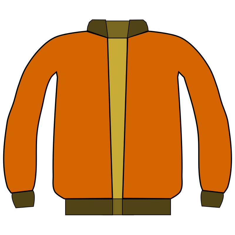 Back view of a stylized orange jacket with olive green collar, cuffs, and hem, featuring central yellow panel and black outlines.