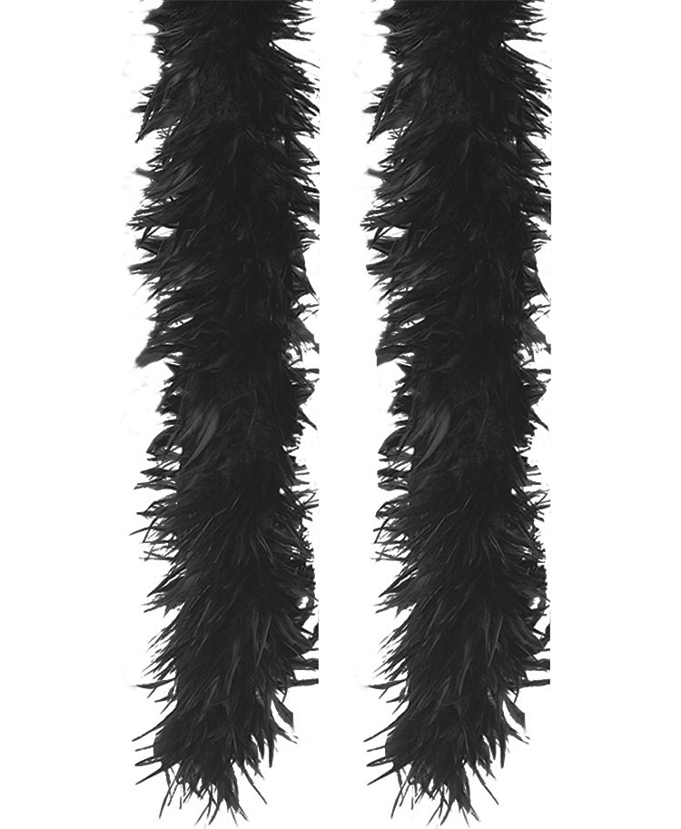Black Feather Boa Png / Black quill feather pen with writing line ...