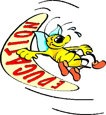 A cheerful yellow bee wearing a blue graduation cap rides a surfboard labeled "EDUCATION" through motion lines.