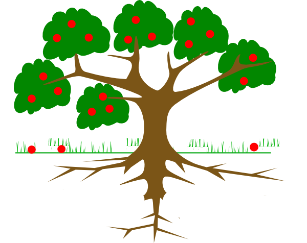 Free Root Cliparts, Download Free Clip Art, Free Clip Art ... tree trunk diagram label 