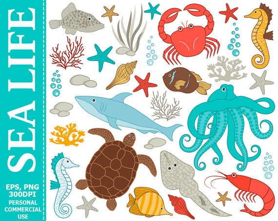 Colorful vector illustration of sea life including crab, octopus, shark, turtle, seahorse, fish, coral, and starfish on white background.