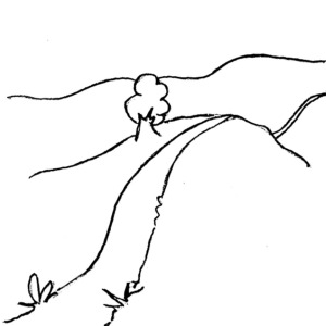 Simple line drawing of a winding path up a hill with a lone tree and small plants.