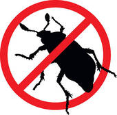Red prohibition symbol over a black beetle silhouette, indicating pest control or insect prevention.