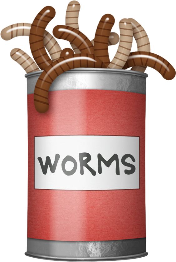 fishing worms clipart - Clip Art Library