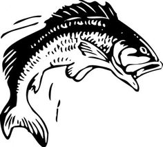 Black-and-white line drawing of a leaping bass fish mid-air, showing detailed scales and fins.