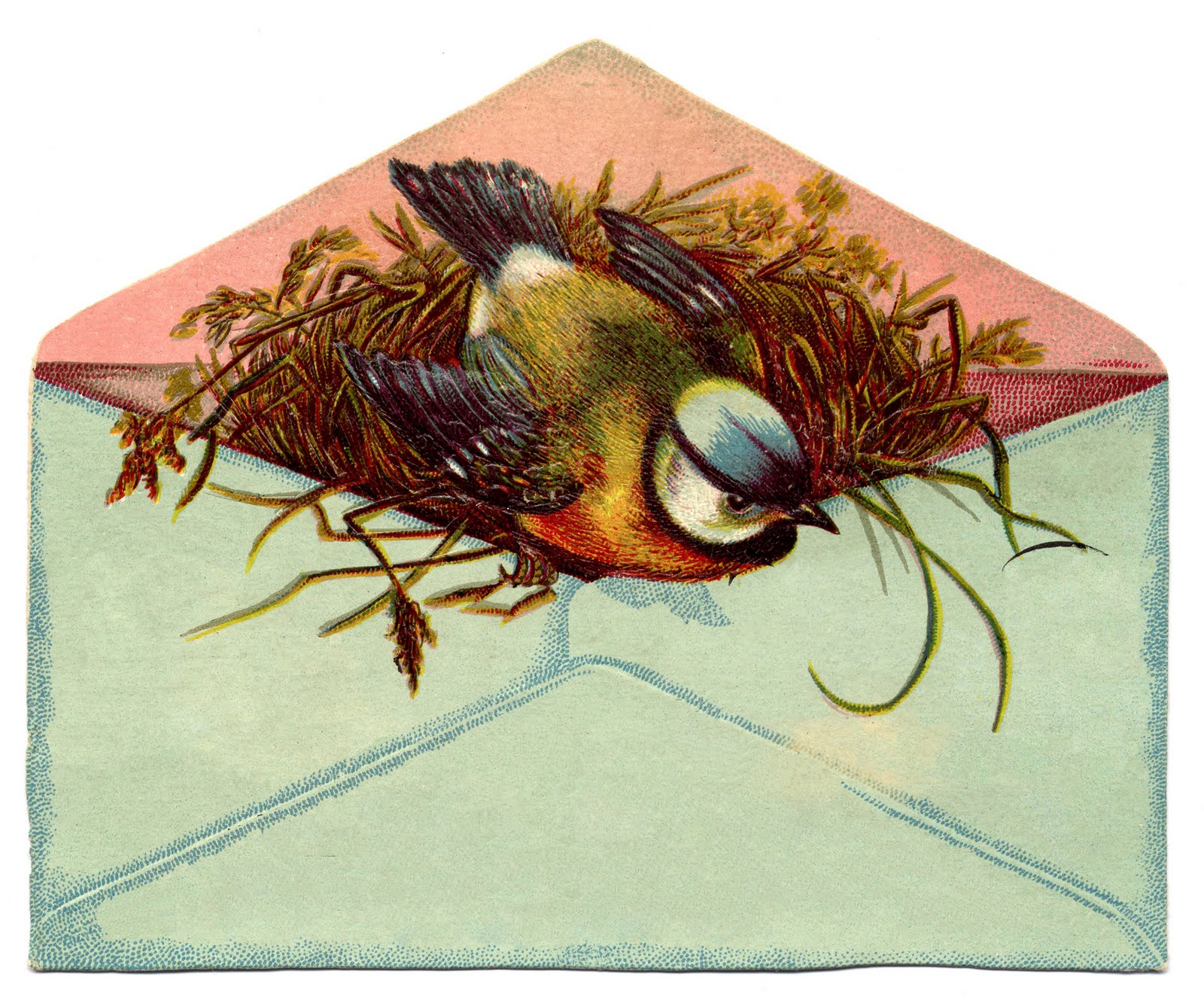 Vintage illustration of a blue tit carrying nesting materials emerging from an envelope flap.