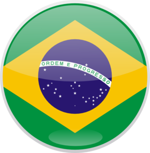 Brazil Flag Icon - Official National Symbol in High-Resolution Vector Style