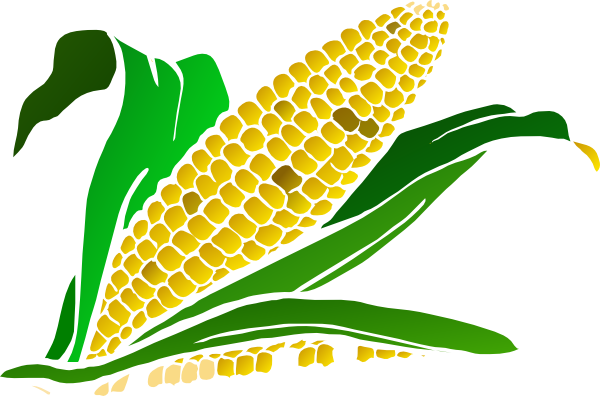 Corn Png ClipArt 