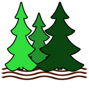 Three stylized evergreen trees in varying green shades standing above wavy brown ground lines.