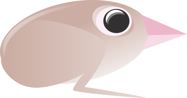 Simple cartoon illustration of a beige bird with large eye and pink beak, facing right on transparent background.