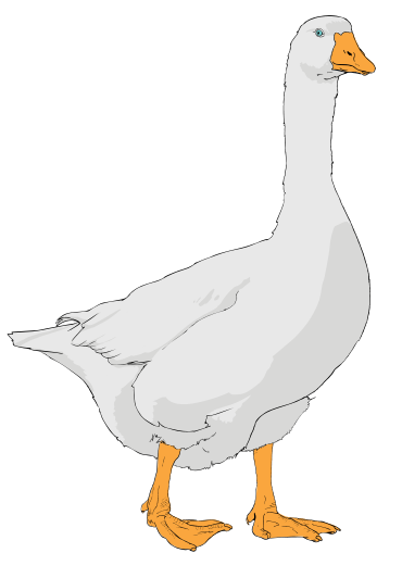 Goose cliparts 