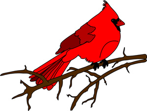 Cardinal Bird Clip Art